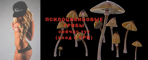 стафф Баксан