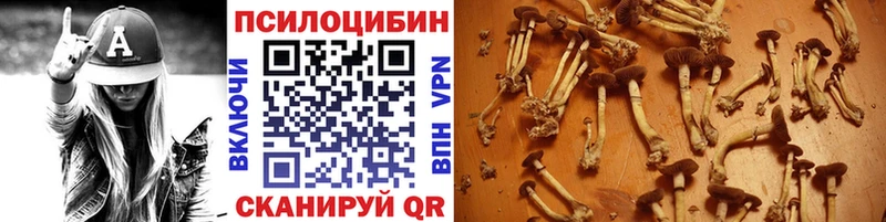 что такое наркотик  OMG как войти  Галлюциногенные грибы Magic Shrooms  Бирюсинск 